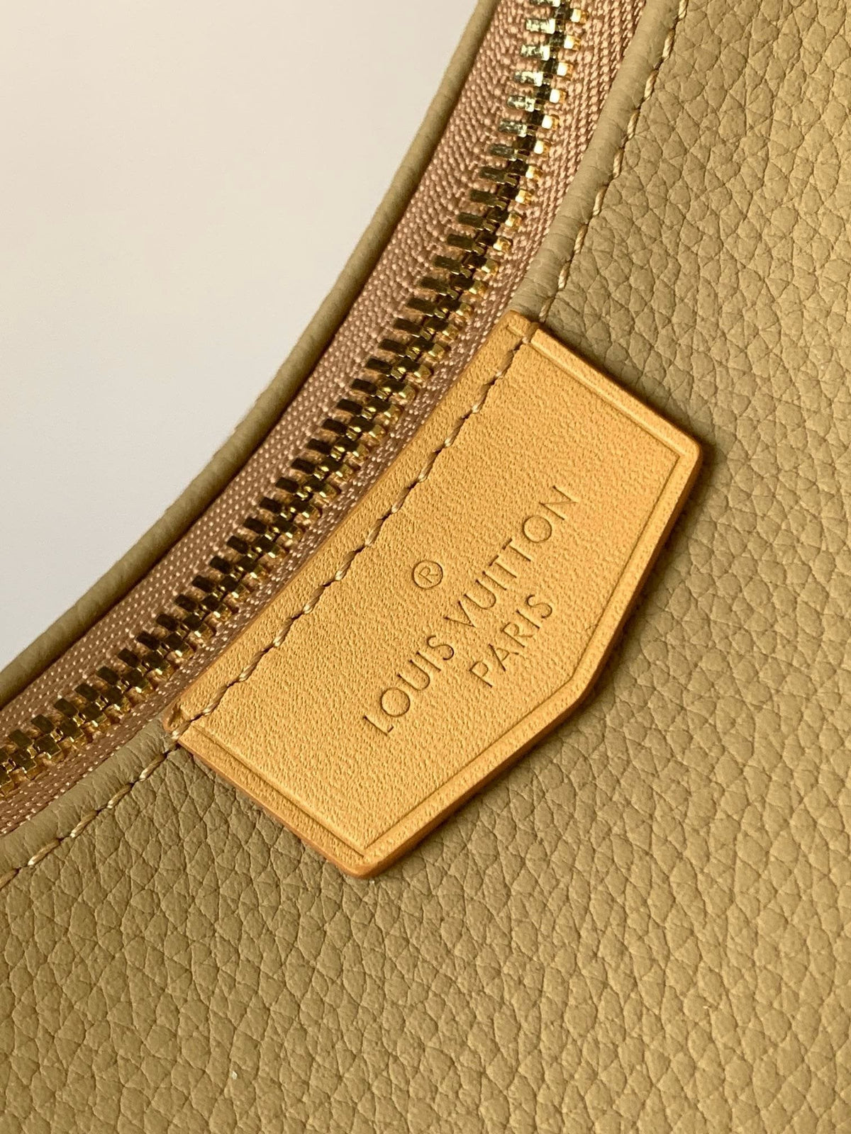 Louis Vuitton M12697 Hobo Cargo